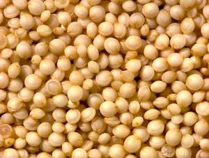 Graines de quinoa blanches naturelles, séchées, en vrac, pour la cuisine, la pâtisserie et la préparation des repas, en vente - Product Image 5