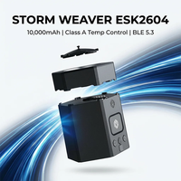 Chicha Électronique Portable Mini 10000mAh avec Bluetooth STORM WEAVER, Autonomie de 3 Heures, Tête de Chicha Électrique