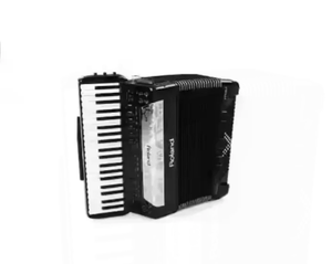 Acordeón Diatónico Portátil de Plástico de Alta Calidad 2024 con 34 Teclas, Conector RCA, Grado Industrial, Personalizable OEM - Product Image 3