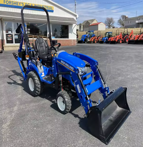 New Holland WORKMASTER 25S - Product Image 6