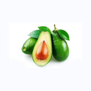 VENTA AL POR MAYOR 100% AGUACATE FRESCO 2021 CULTIVO - Product Image 6