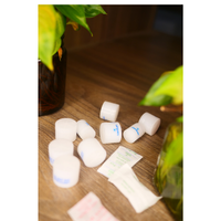 Boîte de dessiccant en gel de silice de haute qualité certifiée ISO VIETCERT, pureté SiO2 99,8 %, marque SAM LAN, pour la conservation des aliments et du pétrole