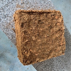 Copeeat-Bloque de copeat de Vietnam, producto de Agricultura, bloque de copeat para vacaciones - Product Image 4