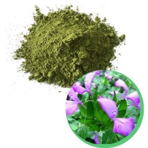 Poudre de feuille violette Colorant alimentaire naturel à base de plante magenta pour la transformation des aliments et des boissons traditionnels - Product Image 2