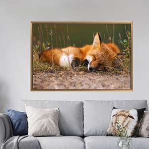 Obra de arte impresa en lienzo - Decoración de pared 3D con diseño de zorro durmiendo - Decoración del hogar con animales, 1 pieza: con marco dorado - Product Image 1