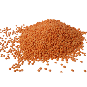 HIGH QUALITY RED <b>LENTILS</b> GRAINS - Product Image 1