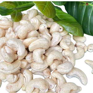 Fabrication de noix de cajou brutes du Vietnam Ww180 Ww240 Ww320 exportées en gros vers l'Asie, l'UE, le Moyen-Orient - Product Image 1