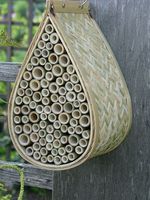 MEILLEUR VENDEUR Tubes en bambou pour insectes, idéaux pour la construction d'habitats d'abeilles, les kits éducatifs et l'approvisionnement en produits d'exportation écologiques au Vietnam