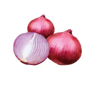 Precio al por mayor 100% Cebolla roja natural Calidad asegurada Cebolla fresca/Cebolla de grado indio Compra de fabricante indio