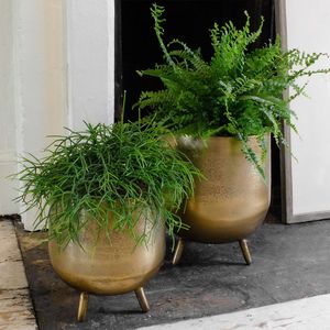 Exclusiva maceta decorativa de metal que ofrece una calidad dorada pulida, ideal para arreglos de decoración del hogar en altura. - Product Image 3