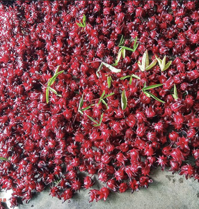 กลีบดอกชบาแห้งเกรดสูงสำหรับถุงชาและอาหารผสมขายส่งจากเวียดนาม - Product Image 2