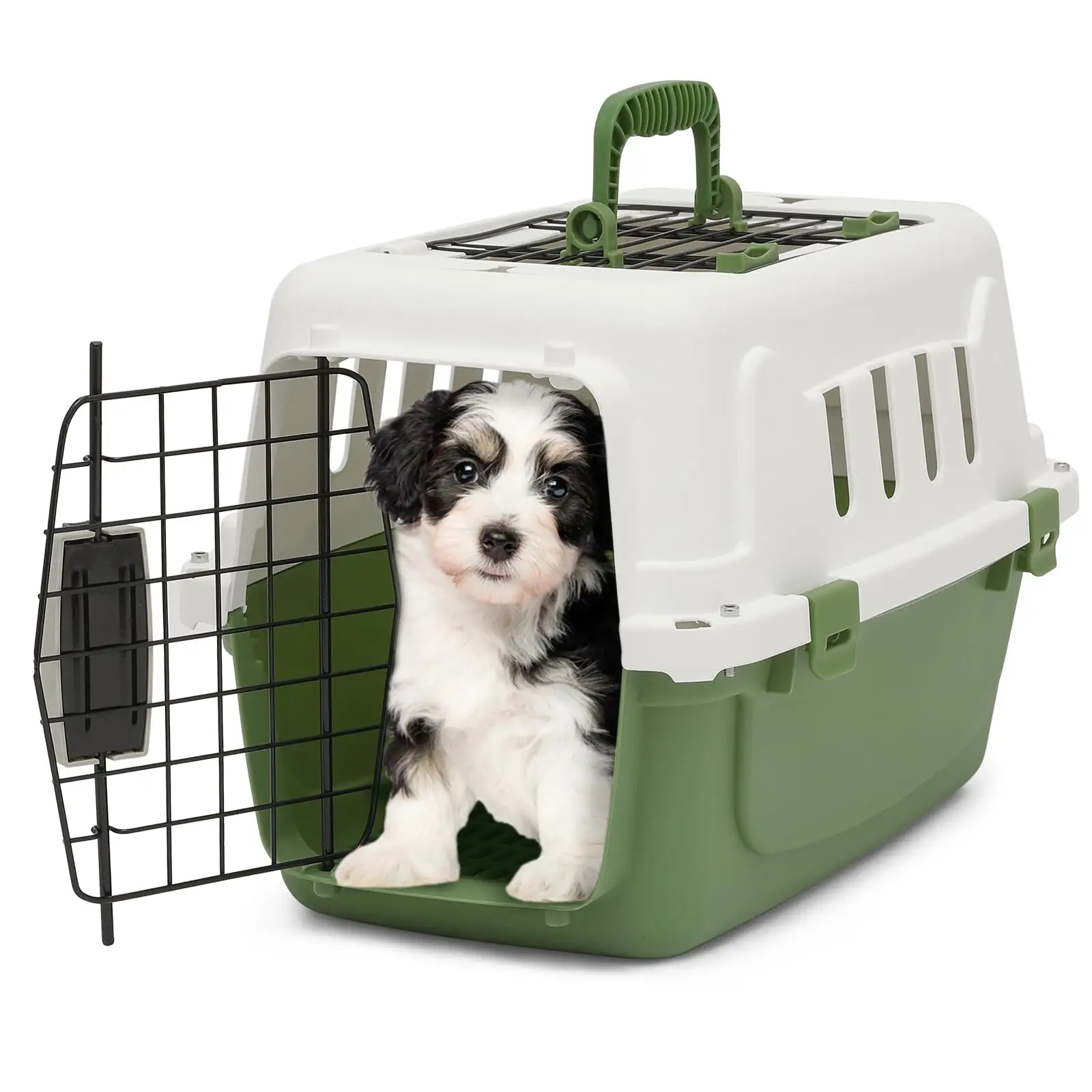 Spree Travel Pet Carrier Hard-Side Pet Kennel Ideal para razas de perros de juguete Gatos pequeños y animales pequeños