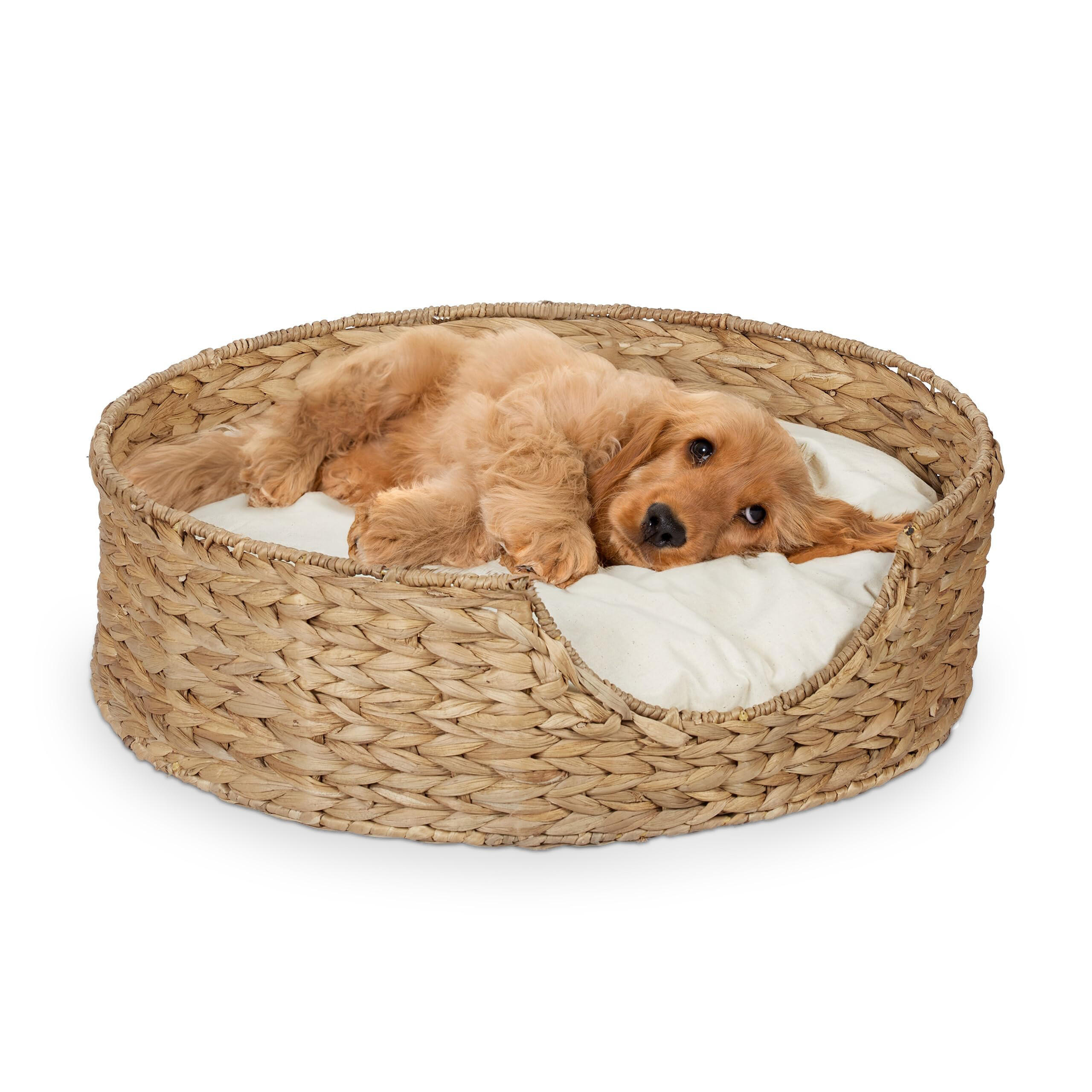 ธรรมชาติ