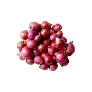 หัวหอมสีแดงสดจากอินเดียแบบ100% จากผู้ส่งออกชั้นนำ - Product Image 4