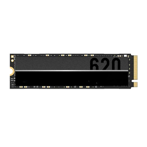 LNM620X256G M.2 NVMe 2280 SSD PCIe Gen3x4 de alta capacidad Almacenamiento interno M.2 NVMe SSD de alto rendimiento - Product Image 4