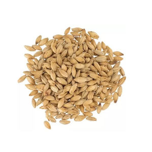 Buen sabor a granel natural cruda cebada Malta Consumo Humano cebada para alimentación animal - Product Image 6