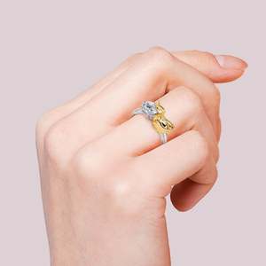 แหวนเงินแท้ทรงกลมดีไซน์หงส์ Jeulia Hug Me Love & Fidelity Swan - Product Image 4