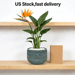 Juego de 3 Macetas de Cerámica Ecológicas de Estilo Americano, Color Azul Marino Antiguo, Hechas a Mano, con Esmalte Verde Oscuro - Product Image 2