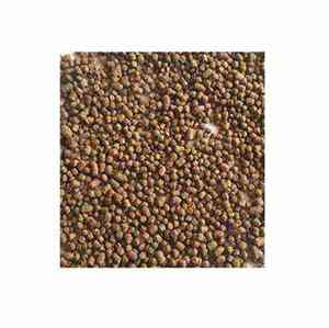 Alimento Flotante Premium para Peces de la India, Nutrición Sostenible para un Crecimiento Rápido, Cría de Peces Saludable y Acuicultura Eficiente - Product Image 4