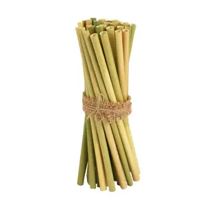 ECO-FRIENDLY GRASS STRAWS // GRASS DRINKING STRAWS IN VIETNAM - MS. CARYLN (WHATSAPP: +84 935825297)