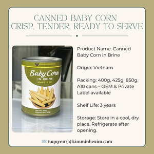 Maíz enlatado de bebé de Vietnam OEM proveedor mayorista - Product Image 4