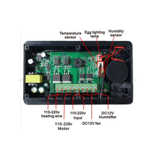 Zfx w90005 स्मार्ट थर्मोस्टैट ए110 220v dc 12v एलईडी डिस्प्ले इनक्यूबेटर कंट्रोलर 360 स्वचालित अंडे की तापमान आर्द्रता - Product Image 6