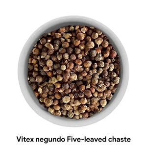 Vitex Negundo Chaste Seed Nirgundi Seed Sambhalu Beej Nilanirgundi Nirgund Tukhm Sambhalu Herbes brutes Extrait de plante en gros - Product Image 1