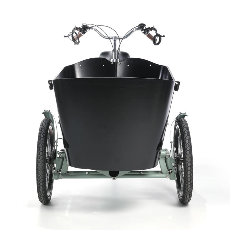 Electric Cargo Bike Trike with 250W Motor LCD Display