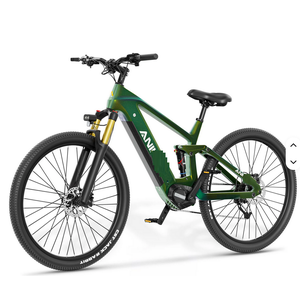 PRIX IMBATTABLE NOUVELLE ARRIVÉE AK29 Vélo Électrique Industriel en Fibre de Carbone 48V OEM/ODM Garantie 3 Ans Prêt à Expédier - Product Image 3