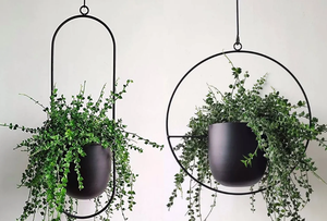 Maceta pequeña de Metal montada en la pared, maceta colgante de cadena, redonda y Rectangular - Product Image 2