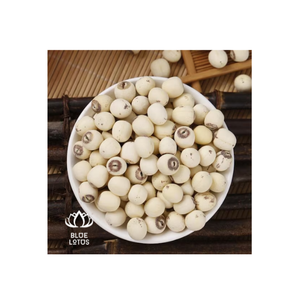 Graines de lotus épluchées de haute qualité Lotus séché disponible pour l'exportation - Product Image 1