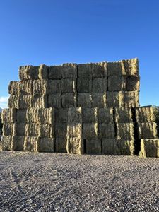 Heno de Alfalfa Premium/Heno de Timothy en Pacas, Heno de Alfalfa de Alta Calidad para Peces, Perros, Cerdos, Ganado, Caballos - Product Image 3