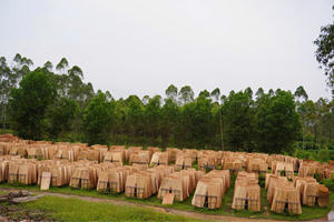 Planche pelée de haute qualité en différentes tailles pour une utilisation en hôtel - Product Image 4