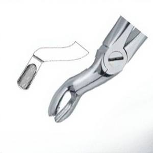 Pinces à extraire les dents dentaires Fig57 A Top Meilleure qualité Produits avec logo personnalisé Instruments dentaires en acier inoxydable de haute qualité - Product Image 3