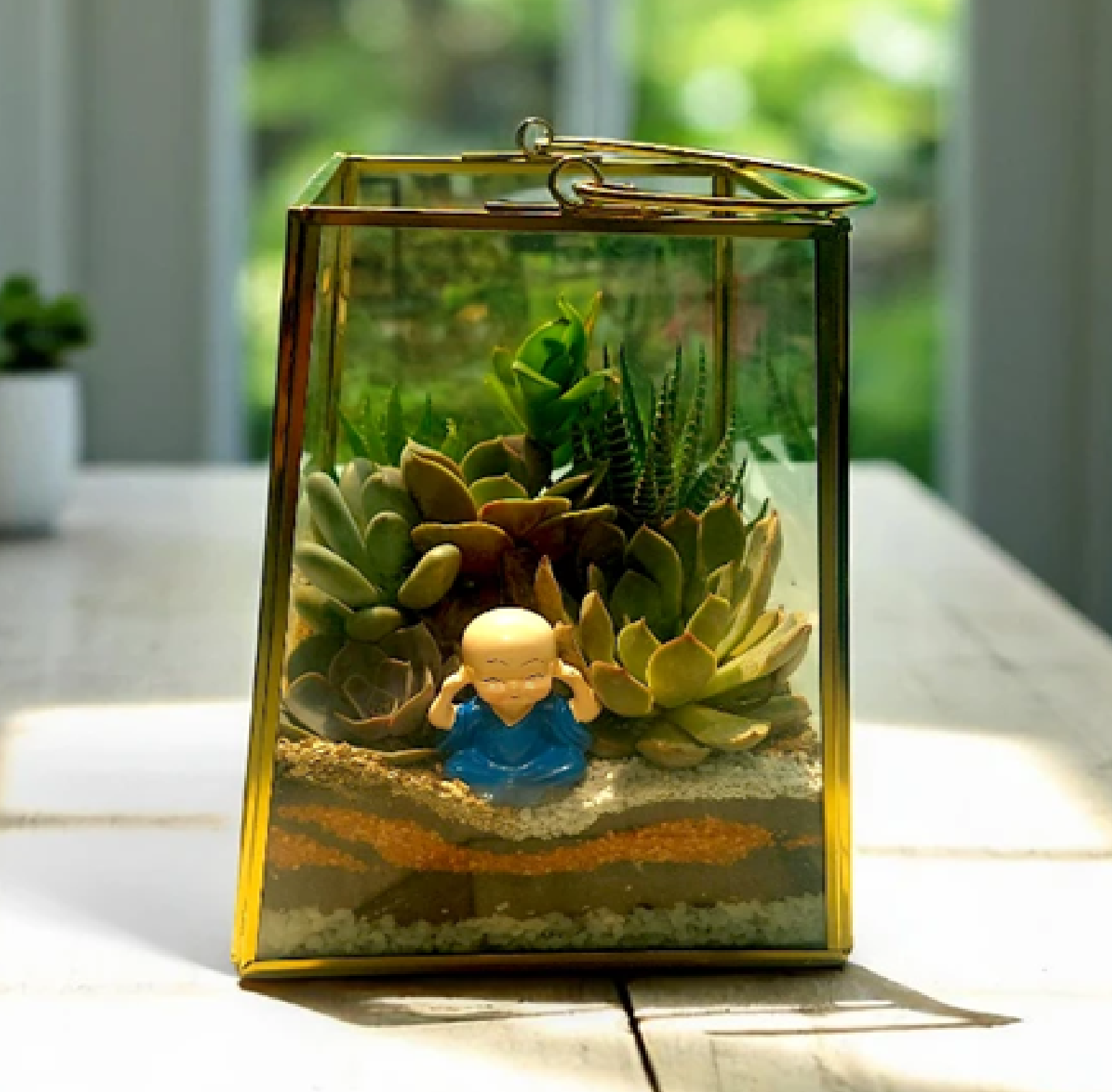 aqua terrariums orchid