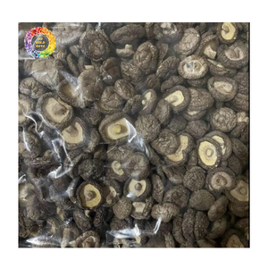 Champignons Shiitake séchés, champignons chinois naturels pour la cuisine asiatienne, restaurants et traiteurs, CHAMPIGNONS SHIITAKE SÉCHÉS ENTIERES - Product Image 1