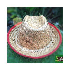 Vaquero de moda para adultos hecho a mano personalizado Rafia Seagrass Boater Vietnam hierba natural verano tejido paja de rafia - Product Image 2