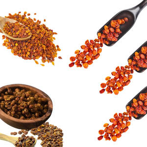 อินทรีย์ทะเล buckthorn | ผลเบอร์รี่แห้งพรีเมี่ยมสำหรับตลาดการส่งออก - Product Image 2