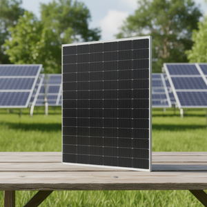 Panneau solaire monocristallin PERC haute efficacité Wensheng New Energy (Sunwin) SP665M-66H 600W - Product Image 3
