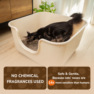 Litière pour chat en fibre de coco fiable, granulés durables avec un fort contrôle des odeurs pour usage intérieur - Product Image 2