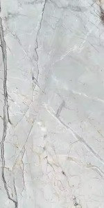 กระเบื้องพอร์ซเลนเคลือบเงาสีเงินของมาร์เวลขนาด60x120ซม. พื้นผิวกึ่งมันวาวสีความละเอียดสูงสำหรับพื้นและผนัง - Product Image 6