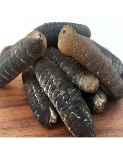 Wholesale high quality products seafood Japanese dried sea cucumber