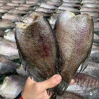 Poisson gourami en peau de serpent séché à prix compétitif