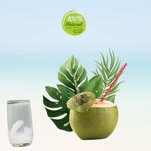 Pura pureza de coco fresco vietnamita en cada gota-Producto agrícola Premium - Product Image 5