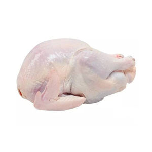 Poulet halal congelé, corps entier, élevé en ferme, nettoyé hygiéniquement, sous vide, en vrac, pour hôtels, restaurants et commerçants - Product Image 3