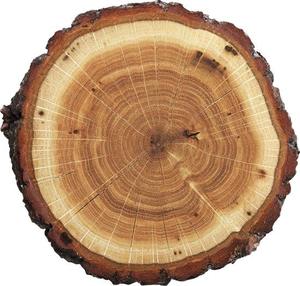 แผ่นรองจานไม้สำหรับอาหารเย็นของตกแต่งบ้านถาดรองแก้วดีไซน์หรูหราพร้อมสั่งฟรี - Product Image 2