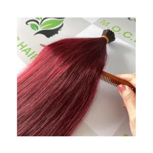 Keratin I Tip Hair Of 2022 Vietnamese Premium 100% Virgin Human TOP High Quality Factory Wholesale For Burgundy Color