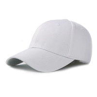 Topi Bisbol Berkualitas Tinggi dengan Harga Murah dari Vietnam 50Pcs/Karton