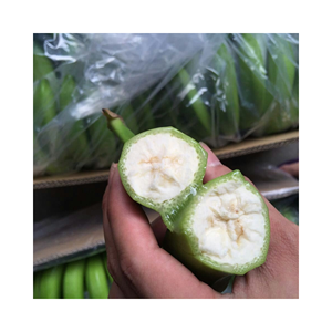 Productos naturales de Vietnam Premium Fresh Cavendish Banana para bares de jugos y catering, clúster seleccionado Vietnam - Product Image 5