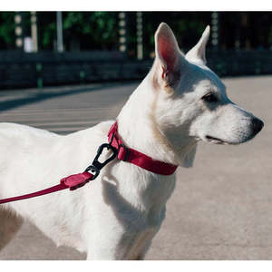 Laisse Rétractable Bordeaux pour Chien, Corde Réglable et Durable, Harnais Rembourré Confortable, Collier à Motif Uni, Accessoire de Dessin Animé - Product Image 3